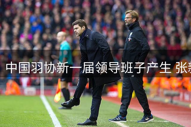 中国羽协新一届领导班子产生 张新当选主席力推反腐倡廉