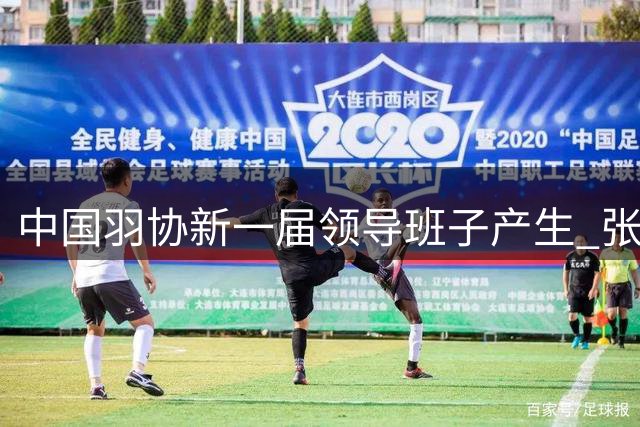 中国羽协新一届领导班子产生 张新当选主席力推反腐倡廉